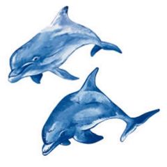Dolphin Wallies