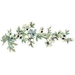 Dogwood Branch Wallies Border Cutouts