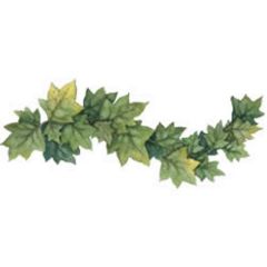 Ivy Leaves Wallies Border Cutouts