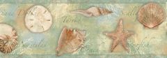 Quinten Green Seashells Toss Wallpaper Border Chesapeake BBC46052B