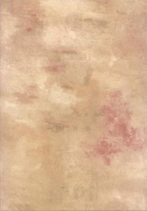 Tan Wallpaper