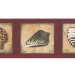 Animal Print Seashells Wallpaper Border by Imperial