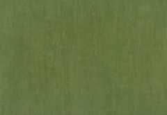 Green Wallpaper
