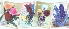 Mixed Spring Flower Ads Pattern Cut WallPaper Border - Waverly
