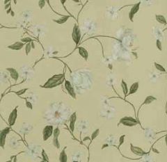 Magnolia Vine Wallpaper