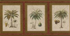 Framed Tropical Fruit Trees Wall Paper Border