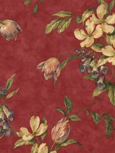 Burgundy Tulips