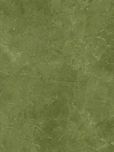 Green and White Faux Wallpaper