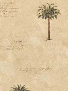 Tropical Tree Wallpaper 5813500