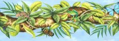 Jungle Tree With Lizards, Frogs & Butterflies Wallpaper Border - Village