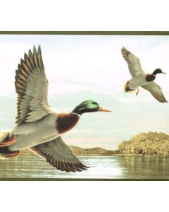 Ducks Over Water Border