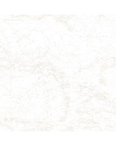 Canaveral Beige Charts Wallpaper Sidewall Chesapeake DLR16177