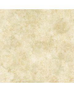 Key West Olive Coral Texture Wallpaper Sidewall Chesapeake DLR47612