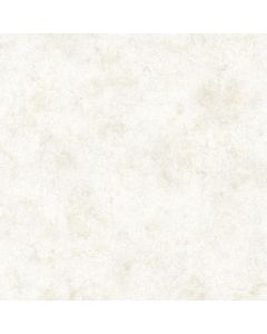 Key West Grey Coral Texture Wallpaper Sidewall Chesapeake DLR47613