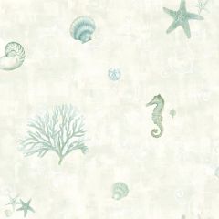 Boca Raton Teal Seashells Wallpaper Sidewall Chesapeake DLR54532