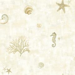 Boca Raton Beige Seashells Wallpaper Sidewall Chesapeake DLR54533