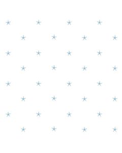White Sands Aqua Starfish Wallpaper Sidewall Chesapeake DLR54544