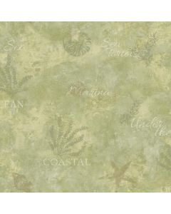Marina Olive Scenic Seaside Wallpaper Sidewall Chesapeake DLR54572