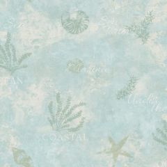 Marina Aqua Scenic Seaside Wallpaper Sidewall Chesapeake DLR54573
