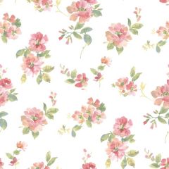 Captiva Peach Watercolor Floral Wallpaper Sidewall Chesapeake DLR54592