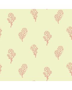 Islamorada Green Coral Branch Wallpaper Sidewall Chesapeake DLR54664