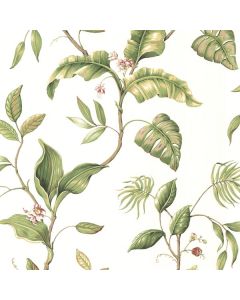 Eldora Ivory Evening Tropics Leaves Wallpaper Sidewall Chesapeake DLR58421