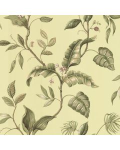 Eldora Green Evening Tropics Leaves Wallpaper Sidewall Chesapeake DLR58422