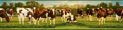 Brown Cow Wallpaper Border Chesapeake FFR65381B