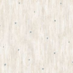 Liberty Grey Heritage Star Toss Wallpaper Sidewall Chesapeake PUR16076
