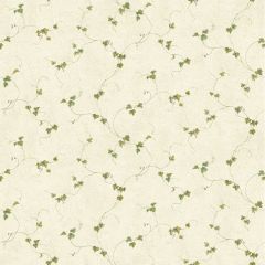 Sarah Grey Ivy Trail Wallpaper Sidewall Chesapeake PUR21701