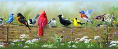 Clarence Green Songbird Menagerie Portrait Wallpaper Border Chesapeake PUR44671B