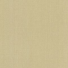 Timber Cove Beige Woven Texture Wallpaper Sidewall Chesapeake TLL01371