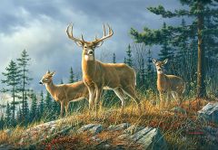 Autumn Whitetail Mural Murals Chesapeake TLL151