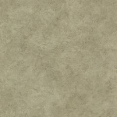 Kissimmee Moss Safe Harbor Marble Wallpaper Sidewall Chesapeake TLL36141