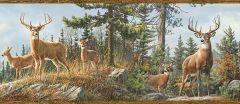 Ashmere Brown Whitetail Crest Wallpaper Border Chesapeake TLL48463B