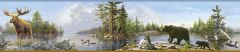 Carnegie Sky Moose Lake Wallpaper Border Chesapeake TLL48541B