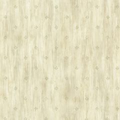 Heron Olive Stencil Starburst Wallpaper Sidewall Chesapeake TLL66385