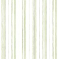 AB42410 Caroline Wallpaper Green Abby Rose 3 Norwall Wallcovering