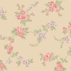 AB42414 Chic Rose Wallpaper Purple, Pink, Green Abby 3 Norwall Wallcovering