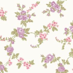 AB42416 Chic Rose Wallpaper Pink, Purple, Beige, Cream Abby 3 Norwall Wallcovering