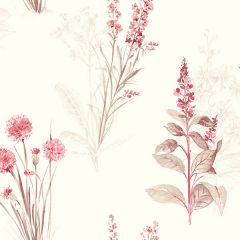 AB42441 Flora Wallpaper Red, Cream Abby Rose 3 Norwall Wallcovering