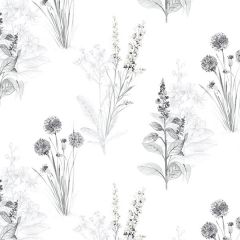 AB42443 Flora Wallpaper Grey, Black Abby Rose 3 Norwall Wallcovering