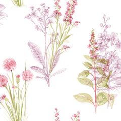 AB42444 Flora Wallpaper Cream, Purple, Pink, Green Abby Rose 3 Norwall Wallcovering