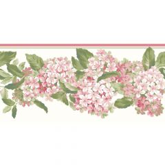 Ashford House Blooms Hydrangea Border