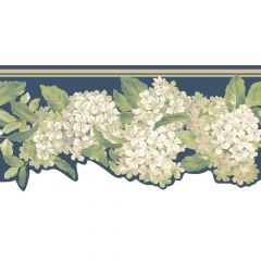 Ashford House Blooms Hydrangea Border