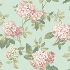 Ashford House Blooms Hydrangea Wallpaper