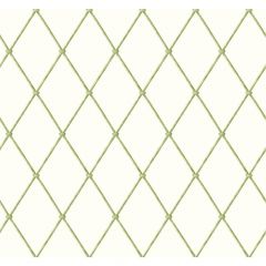 Ashford House Blooms Bamboo Harlequin Wallpaper