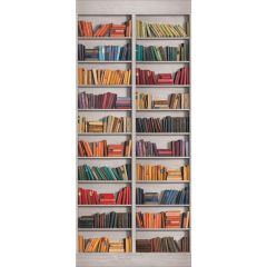 American Classics Two Panel Book Shelf Mural