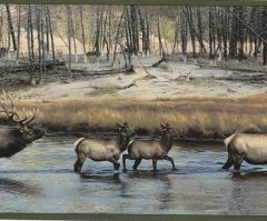 Green Bull and Cow Elk Wallpaper Border