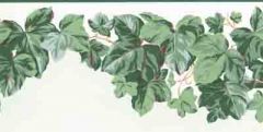 Ivy Leaves Decorative Wallpaper Border- 2 rolls left